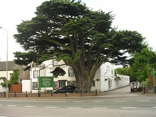 Отель Cedar Tree Hotel