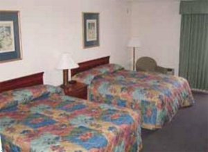 Отель Comfort Inn & Suites