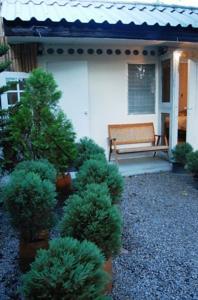 Sparrow's Nest Guest House