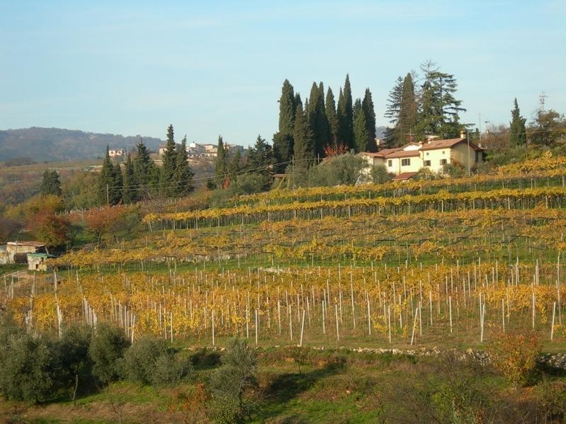 Отель San Ciriaco Relais