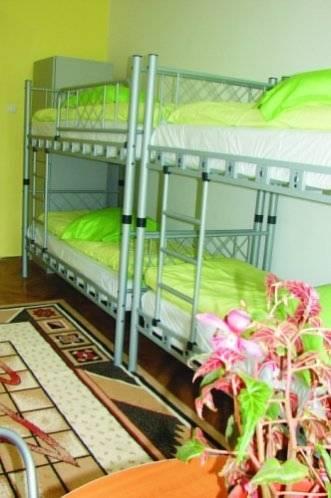 Хостел Transylvania Hostel
