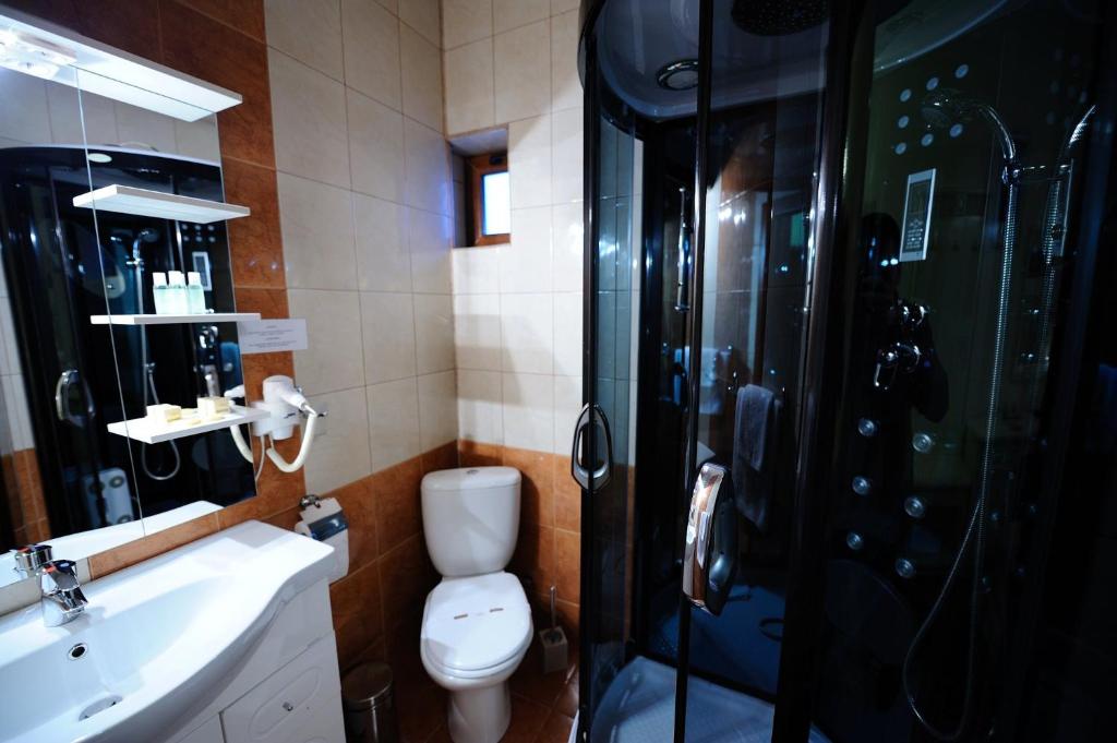 Отель Hotel Royal Craiova