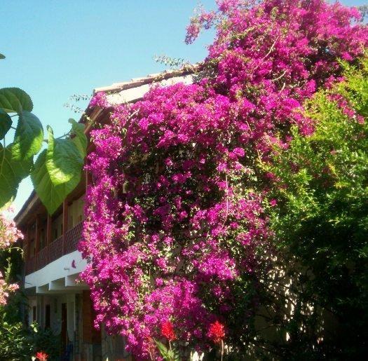 Aygun Pension