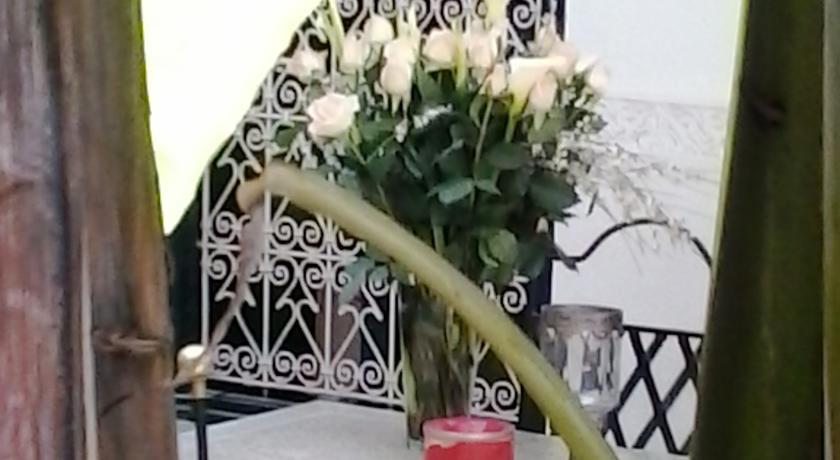 Riad Aloes