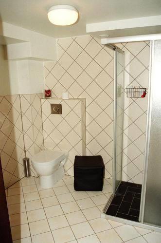 Отель Kuldigas Metropole
