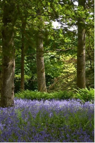 Отель Riverwood Strathtay