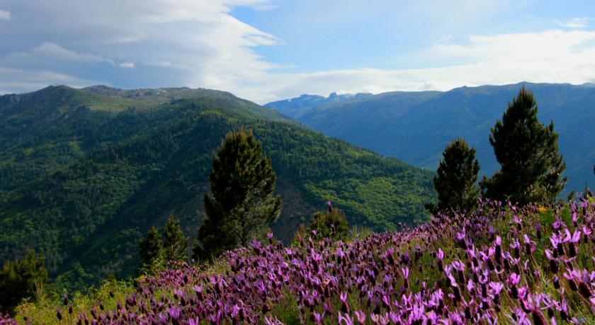 Отель Hotel Vale do Zezere