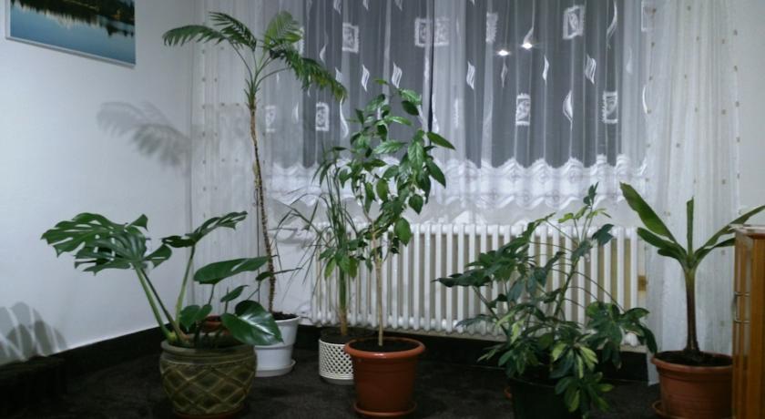 Гостевой дом Sunnystreet Guesthouse