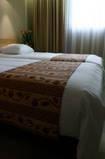 Отель Inter-Hôtel Hôtel du Béryl
