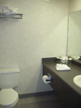 Отель Sands Regency Casino