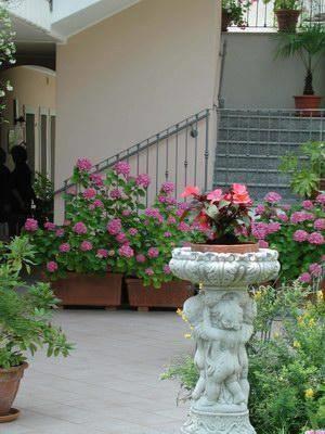 Отель Hotel Villa Elite
