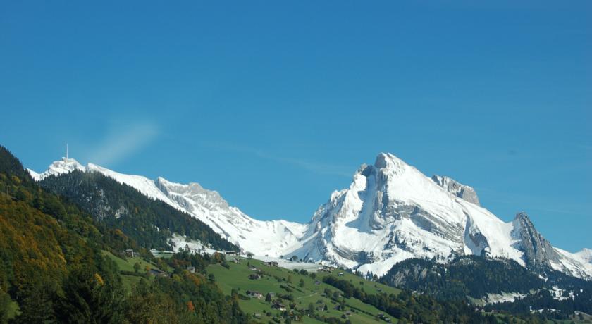 Отель Gasthaus Schäfli