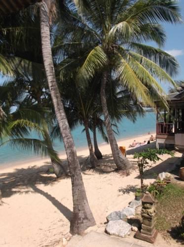 Отель Shady Resort