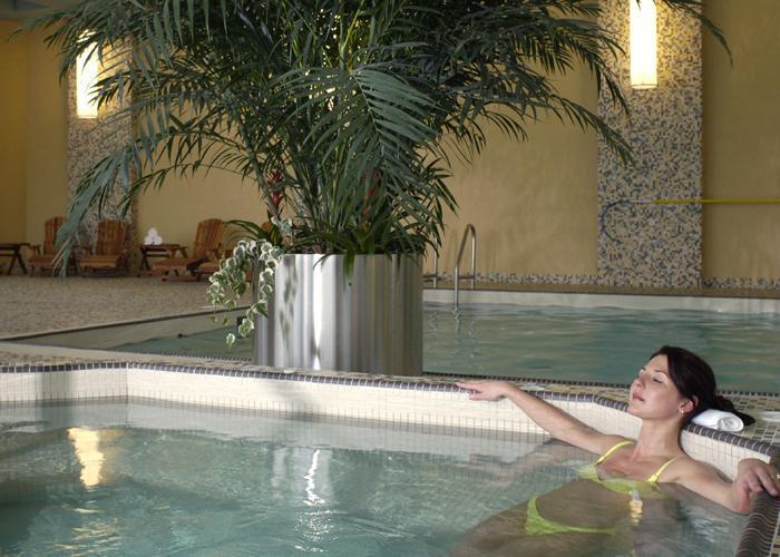 Отель Brookstreet Hotel - Ottawa West- Kanata