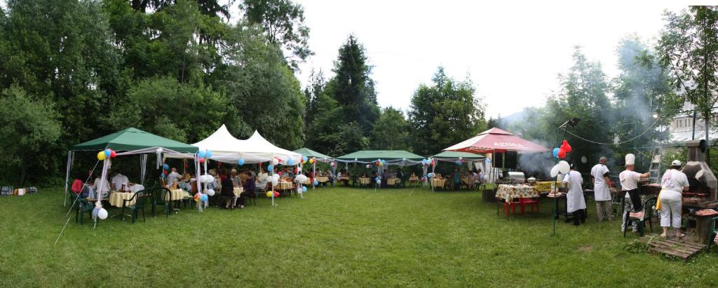 Отель Vila Camelia