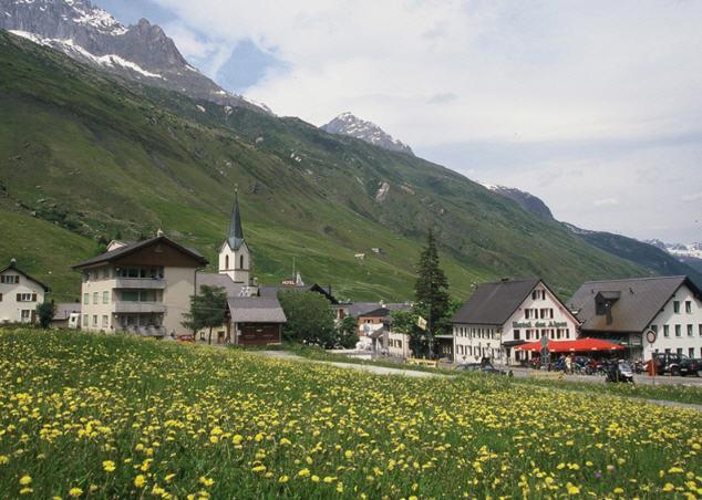 Отель Hotel des Alpes