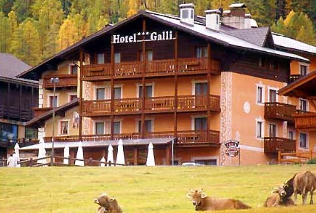 Отель Hotel Galli