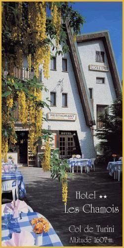 Отель Hôtel Les Chamois