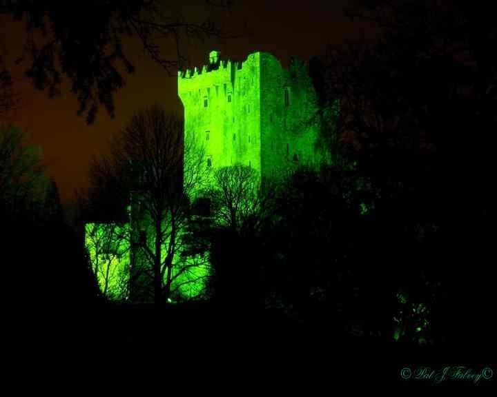 Отель Blarney Castle