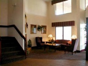 Отель Comfort Inn Olive Branch