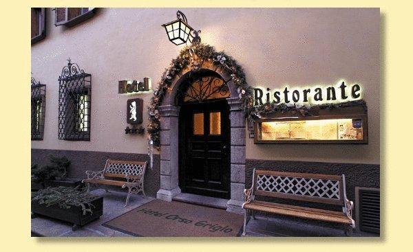 Отель Hotel Orso Grigio