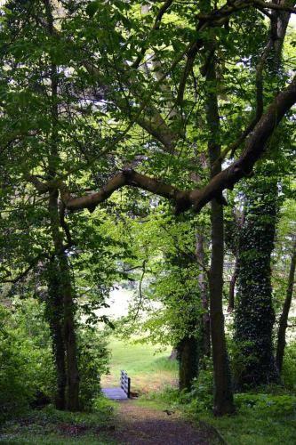 Отель Beech Hill Hotel
