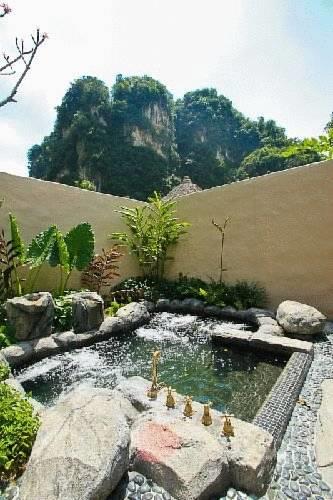 Отель The Banjaran Hotsprings Retreat