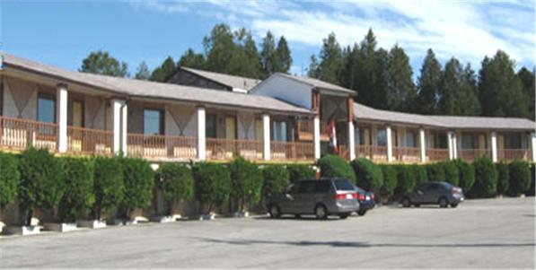 Отель Cedar Springs Motel