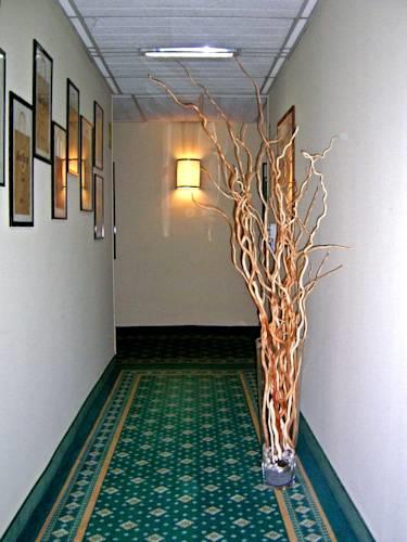 Отель Hotel Motel Ascot