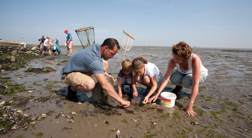 Отель Vakantiecentrum Dennenoord