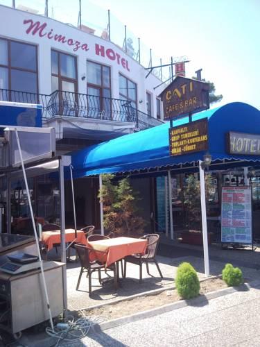 Отель Mimoza Hotel
