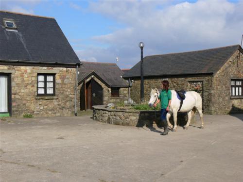 Отель Clyne Farm Centre