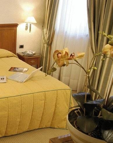 Отель Hotel Excelsior Magenta