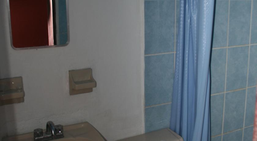 Lion Hostel