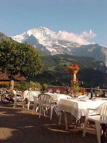 Отель Hotel Bellevue-Wengen