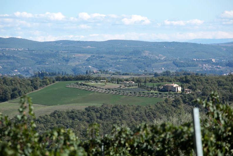 Отель Agriturismo Podere Campotorno