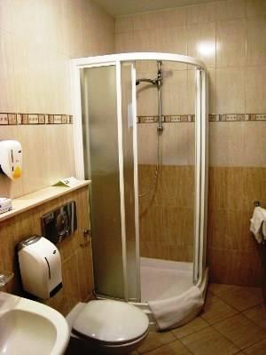 Отель Hotel Piestany