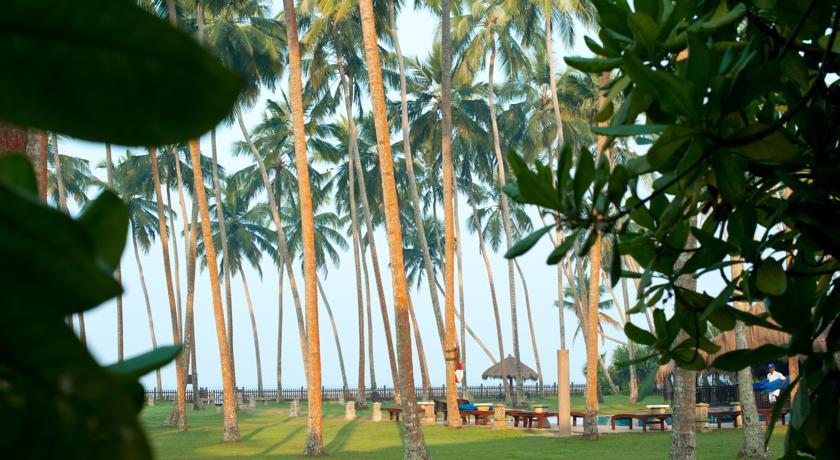 Отель Reef Villa and Spa
