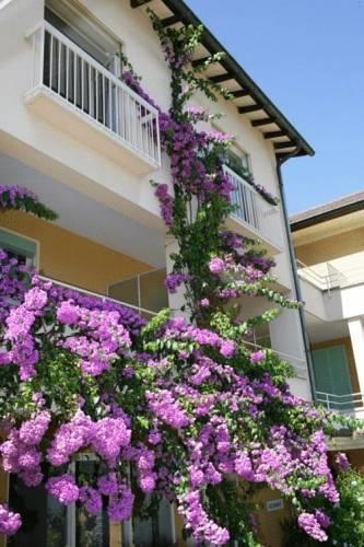 Отель Hotel Primavera