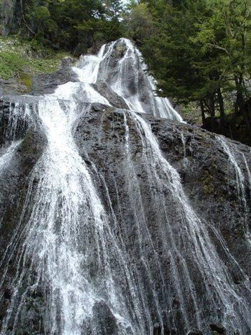 Onsen Inn 36So