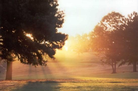 Мини-отель White River Golf Lodge
