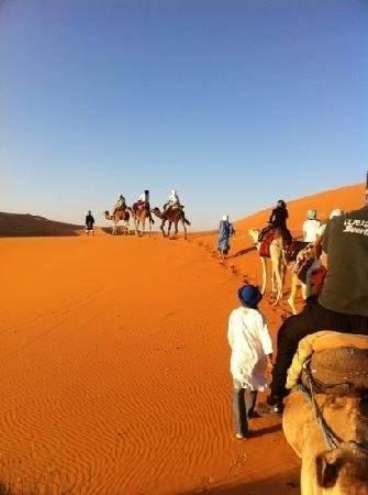 Отель Riad Les Flamants Roses