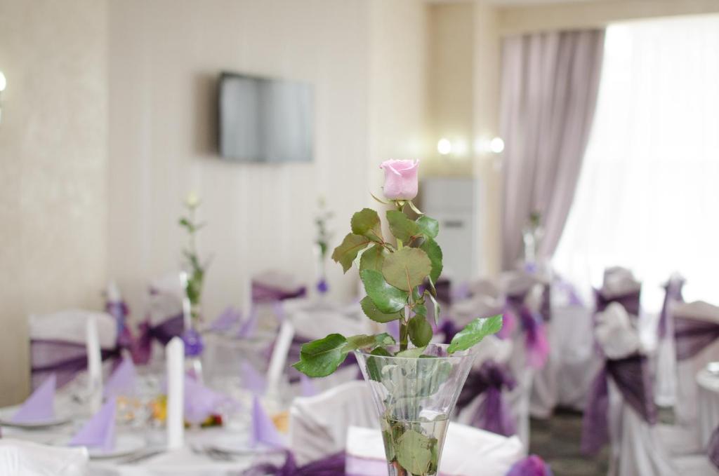 Отель Hotel Craiovita