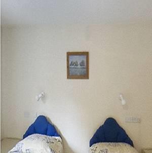 Отель Tall Trees Hotel