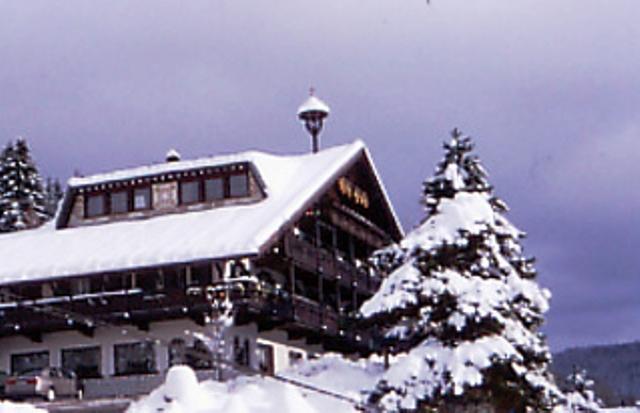 Отель Hotel Villa Wilma