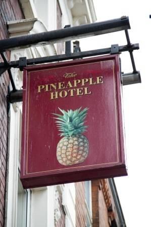 The Pineapple Hotel