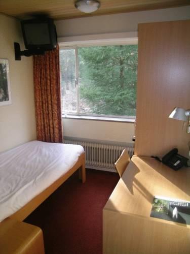 Отель Hotel Guldenberg
