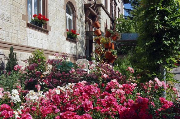 Отель Hotel Promenade