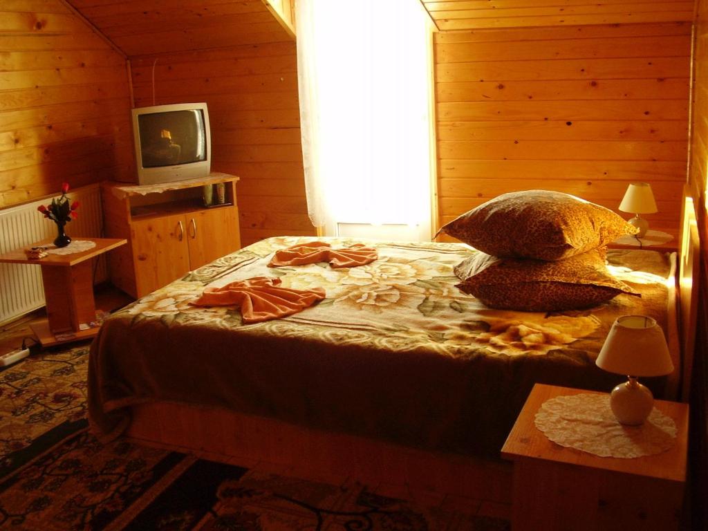 Гостевой дом Pension Bran Ioana