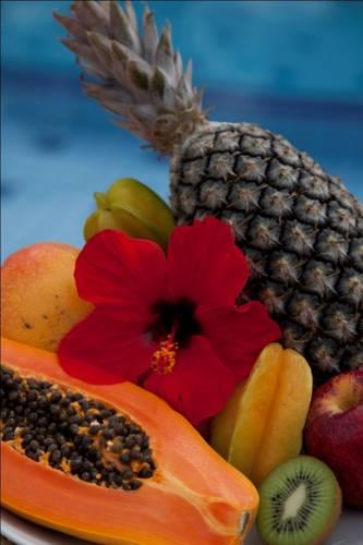 Гостевой дом Pousada dos Hibiscos